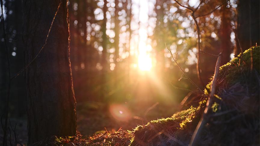 © © Mathias Lixl AIGEN13 - Ferienwohnungen im Waldviertel