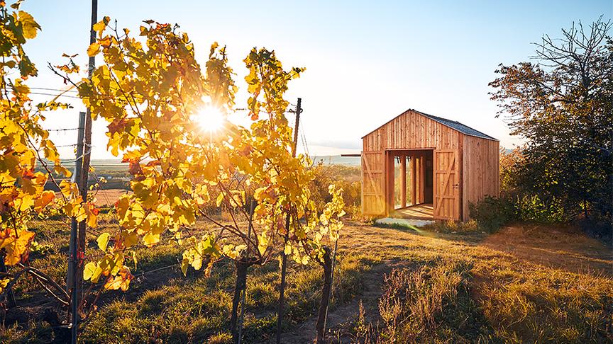 Weingut Hindler