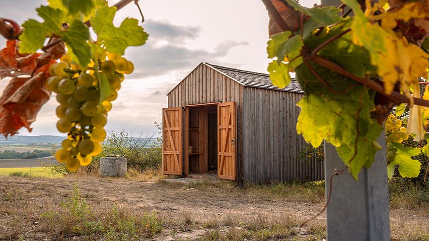 © © Niederösterreich Werbung/Maximilian Pawlikowsky Weingut Hindler