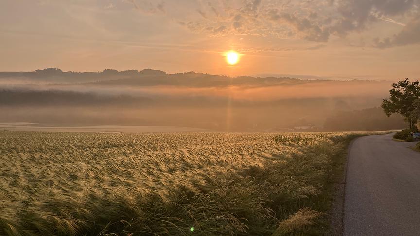 Sonnenaufgrund über Feld und Bergen bei noch leicht trüber Stimmung und Nebel