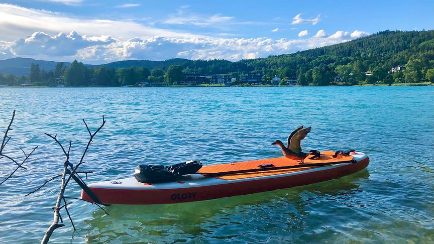 © Markus Wieser Stand up Watscheln-der neue Trendsport; Besuch einer Ente am SUP bei der täglichen Abendrunde am Wörthersee. (Markus Wieser)