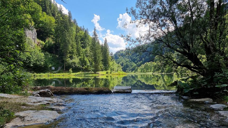 © Georg Ackerer Am herrlichen Wiesensee im Pillerseetal. (Georg Ackerer)