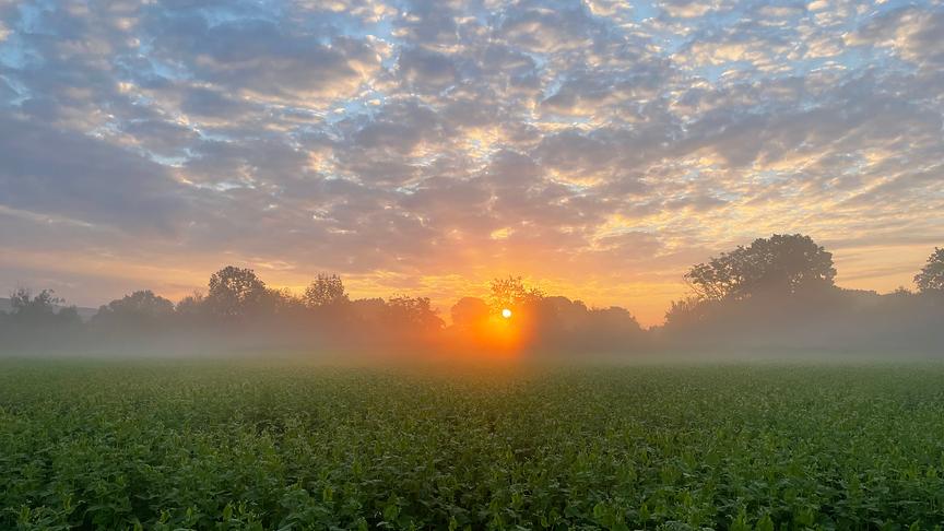 © Robert Eigenthaler Sonnenaufgang in Markersdorf. (Robert Eigenthaler)