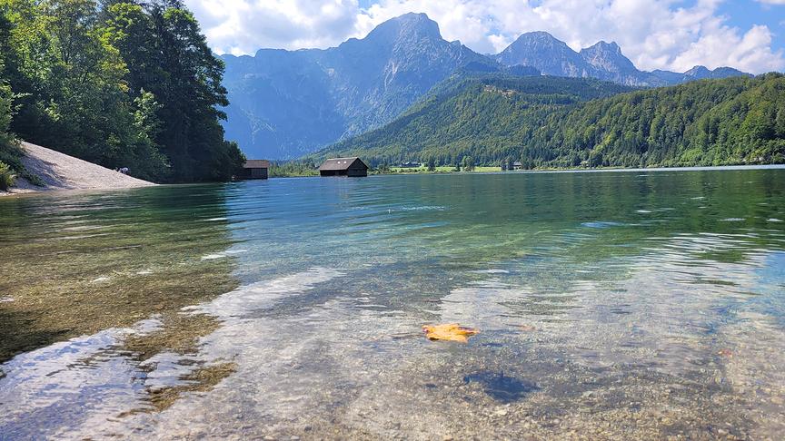 © Helene Ecker Almsee in Oberösterreich: ein buntes Ahornblatt im See ist ein kleiner Gruß vom Herbst. (Helene Ecker)