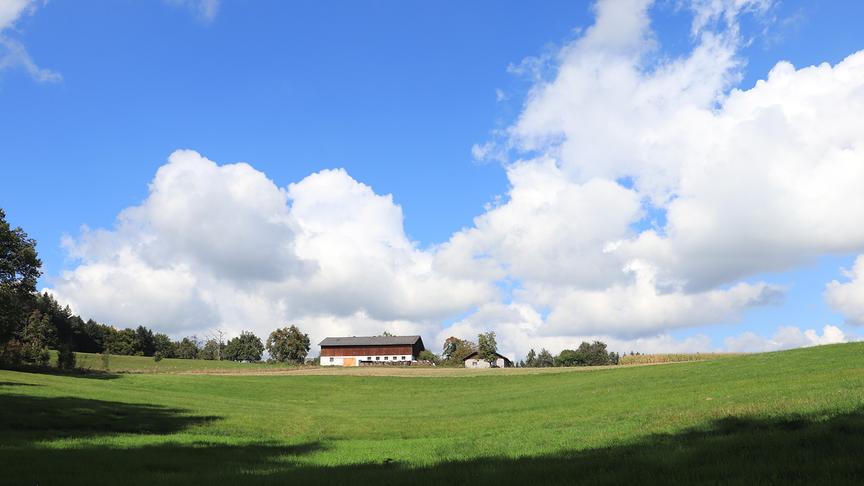 © Elisabeth Staudinger Am Poschenhof DÖRFL/ Vöcklabruck (Elisabeth Staudinger)