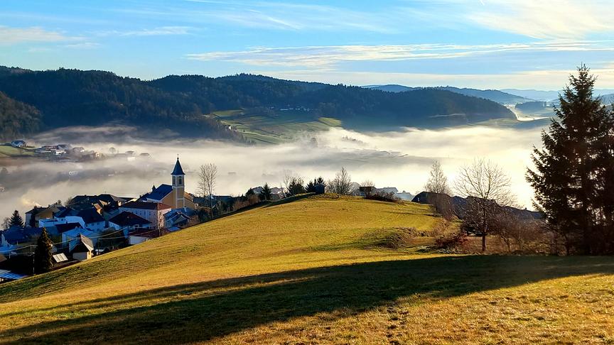 © Sabine Lauss So ist das Wetter heute am Neujahrstag bei uns in Peilstein im Mühlviertel, bei frühlingshaften Temperaturen. (Sabine Lauss)