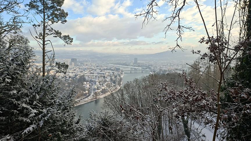 Blick über Bäume hinweg auf die Donau und Linz. 