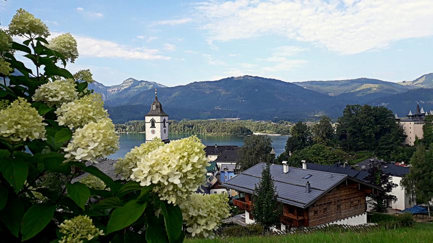 © Christa Katharina Dallinger St. Wolfgang - Morgenspaziergang über dem Wolfgangsee. (Christa Katharina Dallinger)