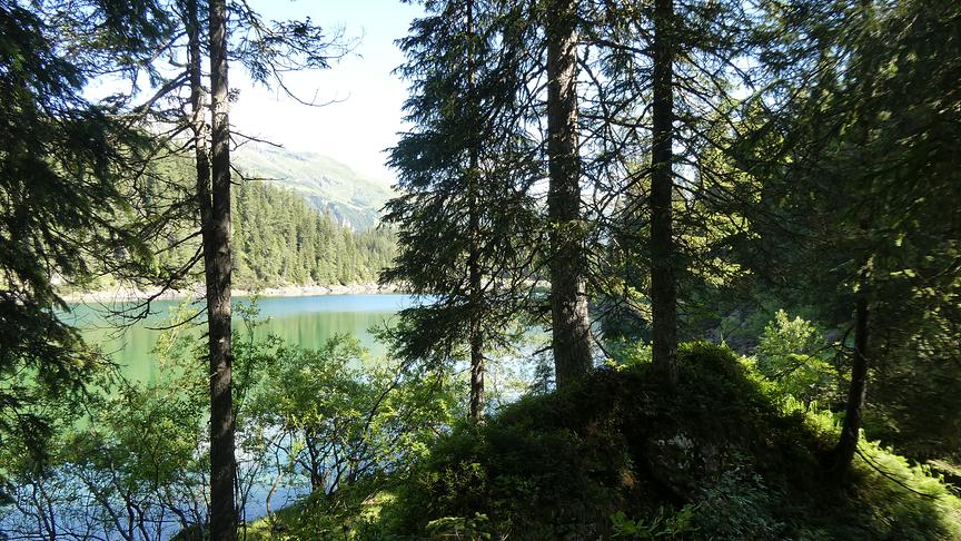 © Ferdinand Mader Bergsee Idylle - Obernbergsee. (Ferdinand Mader)