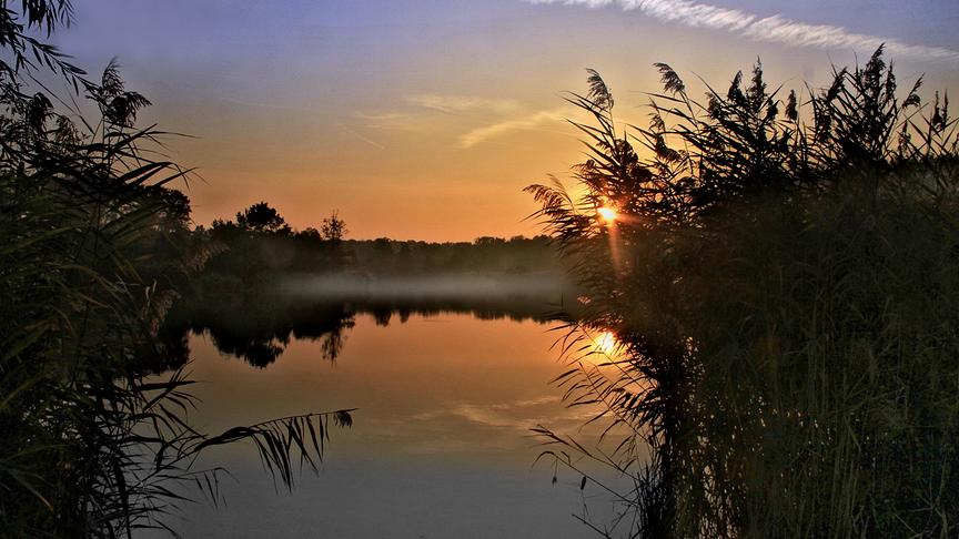 © Peter Grill Sonnenaufgang in den Traunauen. (Peter Grill)