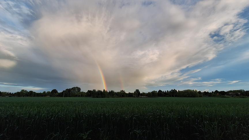 © Birgit Lederer Doppelter Regenbogen über Pfaffendorf (Birgit Lederer)