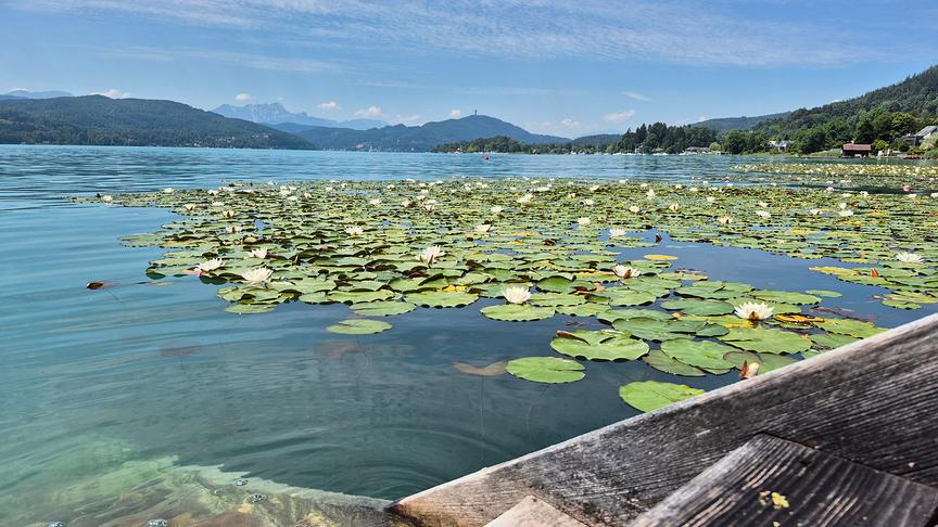 © Günther Mallweger Bei diesen Temperaturen hilft nur mehr Abkühlung im Wörthersee (Günther Mallweger)