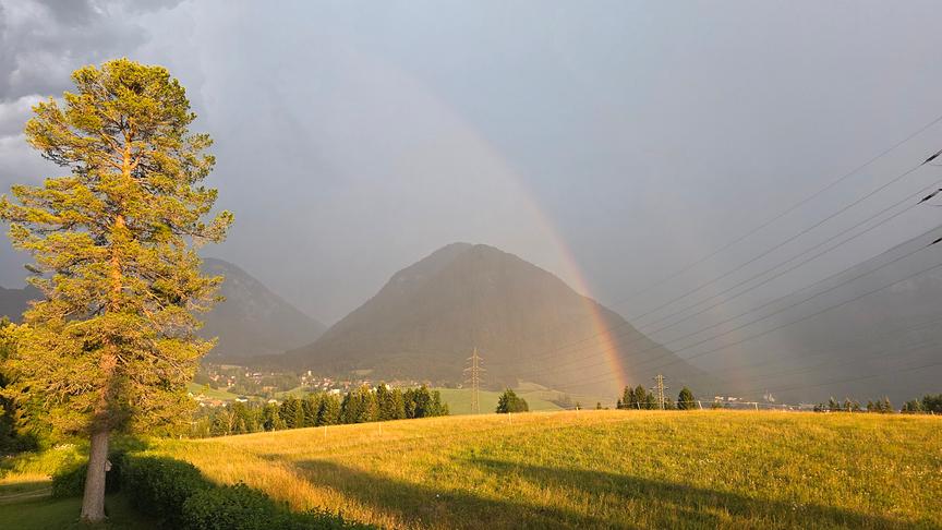Eine Landschaftsaufnahme bei tiefstehender Sonne, die eine weite, goldene Wiese im Vordergrund und bewaldete Berge im Hintergrund zeigt. Ein leuchtender Regenbogen spannt sich vor dem wolkenverhangenen, grauen Himmel über die Gipfel. Am linken Bildrand steht eine markante, hohe Kiefer, während im Tal eine kleine Siedlung und Strommasten zu erkennen sind.