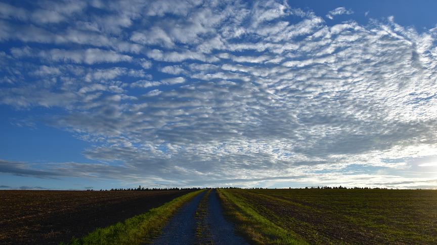 © Renate Neuwirth Ein ganz besonderer Wolkenhimmel zieht am Abend im Waldviertel auf. (Renate Neuwirth)