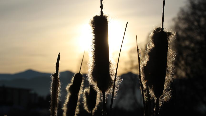 © Walter Hochfellner Kurz vor Sonnenuntergang im Murtal, die tiefstehende Sonne hinter den Seetaler Alpen. (Walter Hochfellner)