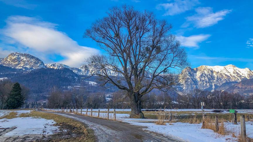 © Siegfried Schlager Wenig Schnee in tieferen Lagen im Ennstal. (Siegfried Schlager)