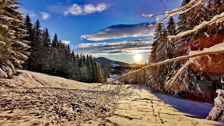 © Sabine Schrank Sonnenaufgang in Teichalm. (Sabine Schrank)