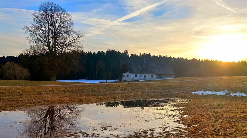 Ein Feld, auf dem noch etwas Schnee liegt, aber im Vordergrund auch eine Pfütze zu sehen ist, im Hintergrund scheint die Sonne