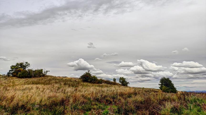 © Gerti Portisch Beinahe steppenähnliche Spätsommerlandschaft mit interessanter Wolkenkonstellation bei Föllim/Weinviertel (Gerti Portisch)