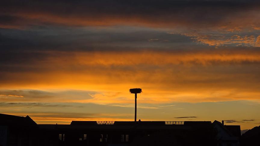 © Gernot Ambros Sonnenuntergang hinter dem Storchennest in Stocking bei Wildon. (Gernot Ambros)