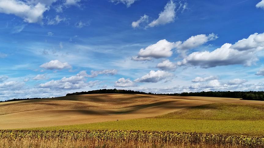 Die Sonne versteckt sich zeitweise hinter den Wolken und wirft interessante Schattenbilder auf die abgemähten Felder/bei Mistelbach.