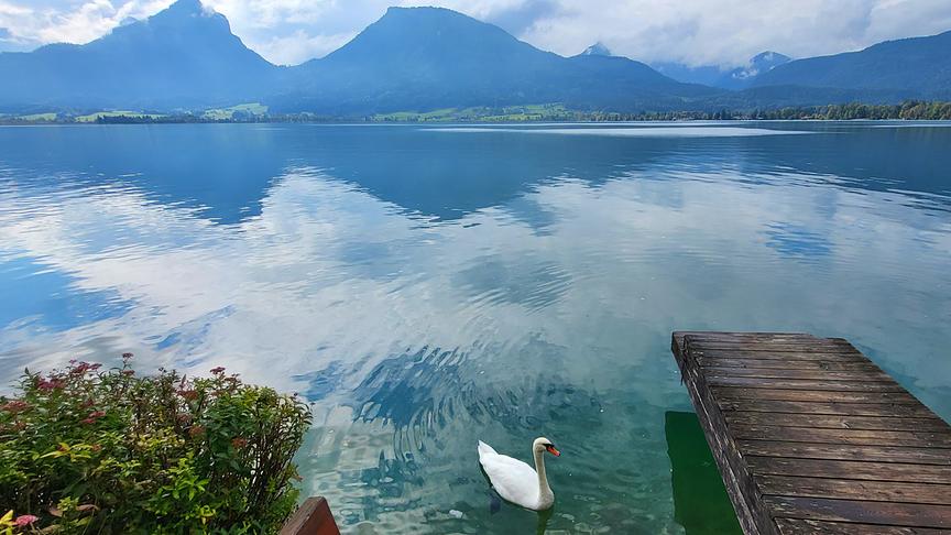 © Erwin Müller Blick auf den Wolfgangsee an einem trüben Herbsttag. (Erwin Müller)
