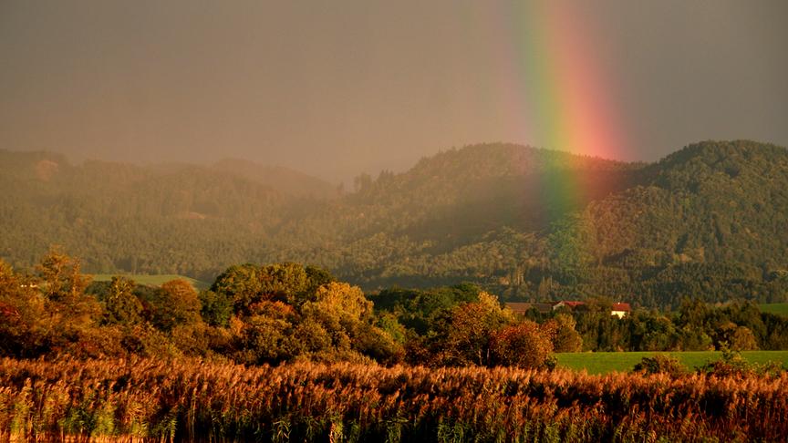 © Emma Sommeregger Farbenprächtiger Regenbogen heute kurz vor Sonnenuntergang in Seekirchen am Wallersee. (Emma Sommeregger)