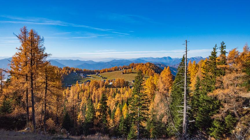 © Günter Krenn Aflenz Bürgeralm. (Günter Krenn)