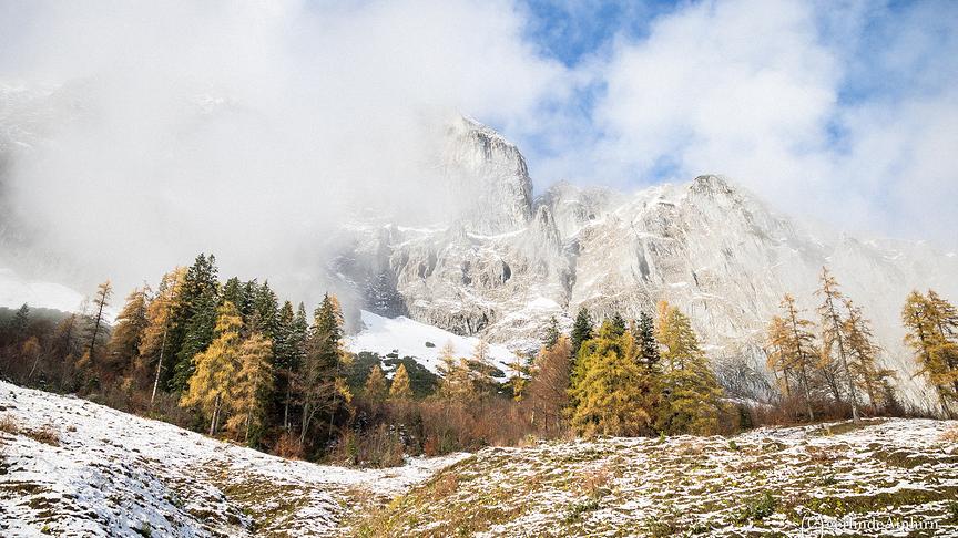 © Gerlinde Ainhirn Der erste Schnee und die verfärbten Lärchen harmonieren ganz gut in der Ardninger Alm im Gesäuse, Steiermark. (Gerlinde Ainhirn)