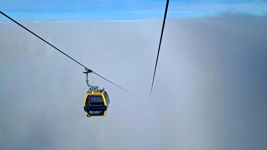 Nebel am Zwölferhorn (Emma Sommeregger)