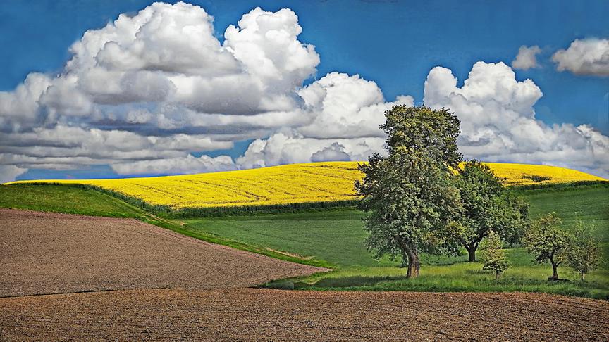 © Peter Grill Es ist Frühling geworden in Hausruck. (Peter Grill)