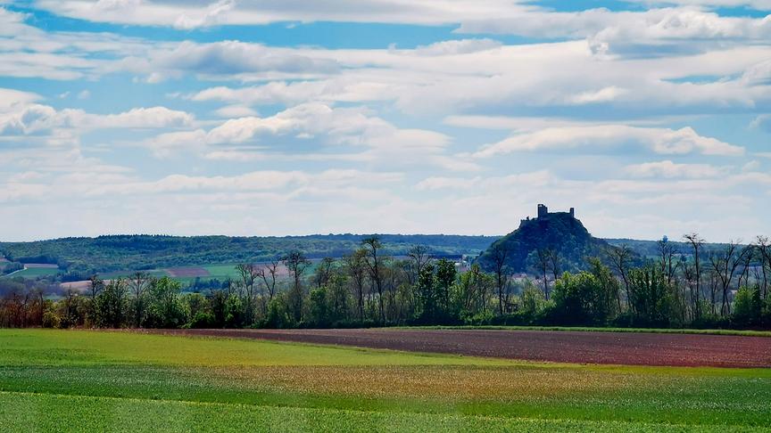 Wiese und Acker mit Bäumen vor einem markanten Hügel mit Burgruine. Darüber blauer Himmel mit Wolken.