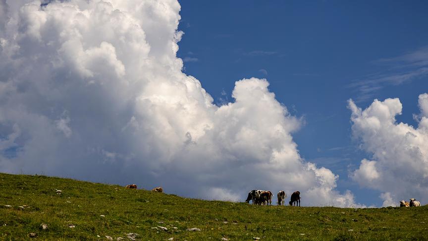 © Gerlinde Ainhirn Wolken ziehen auf im Salzburgerischen Tennengau (Gerlinde Ainhirn)