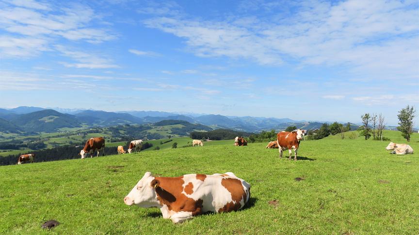 Ihr Wetterfoto Im ORF Fernsehen Extra ORF At