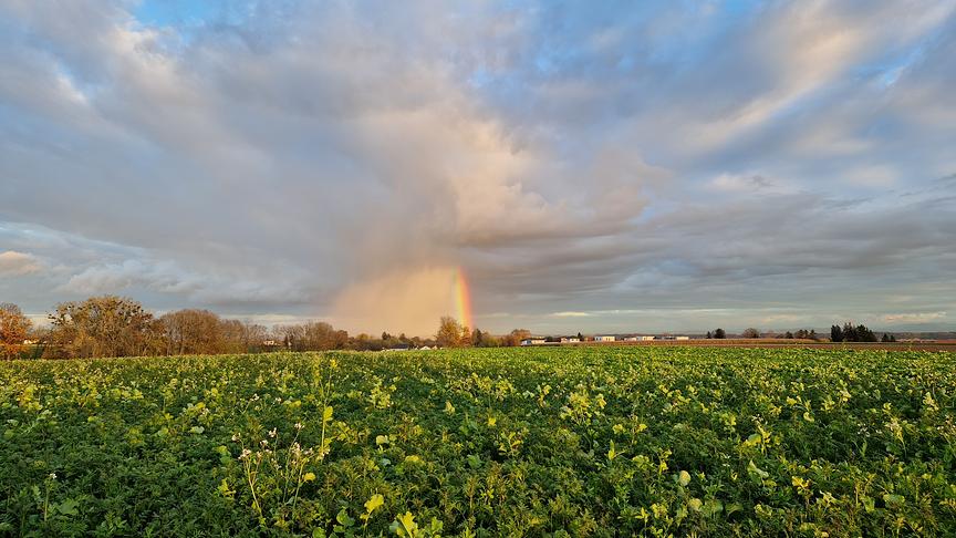 © Gerhard Mairinger Regenborgen und Regenniederschlag (Gerhard Mairinger)
