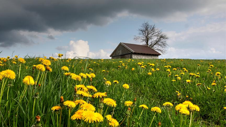 © Emma Sommeregger Gestern konnte ich diese interessante Wetter-Aufnahme im Ortsteil Mühlberg in der Gemeinde Eugendorf machen. (Emma Sommeregger)