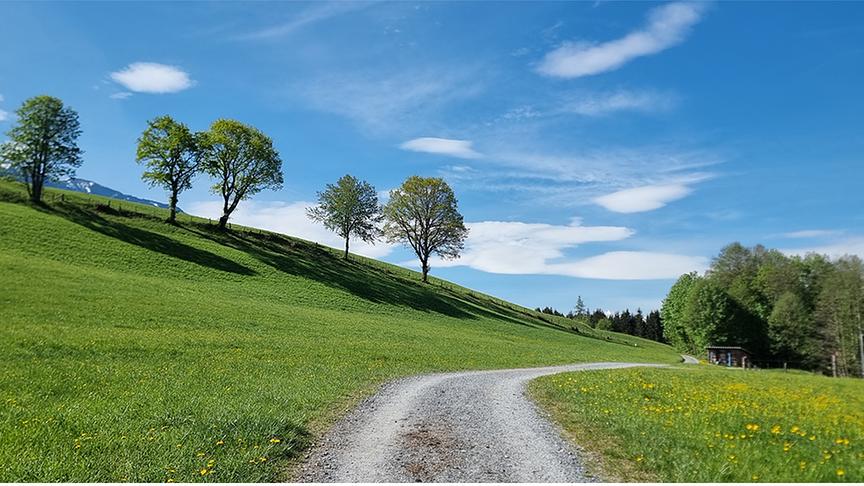 Ein Feldweg führt durch grüne Wiesen mit Blumen und Wolken bei Schönwetterhimmel mit leichten Schleierwolken.