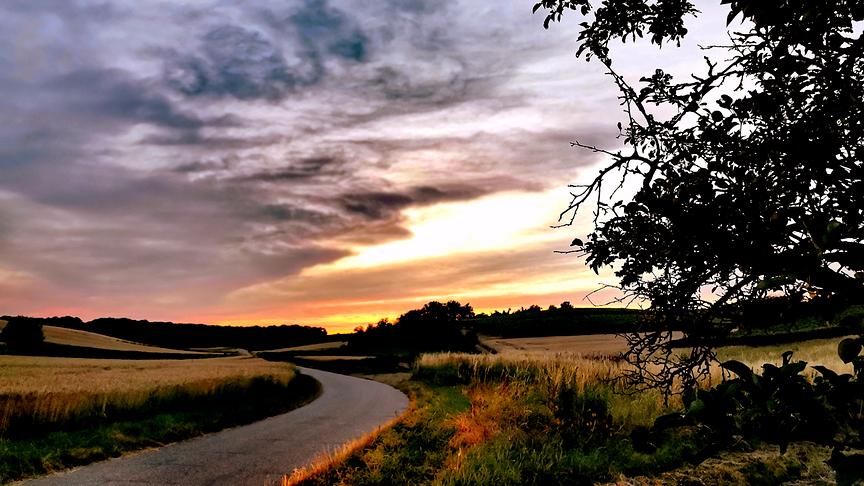 © Gerti Portisch Sonnenuntergang - ein kurzes, aber imposantes Schauspiel in Kleinhadersdorf bei Poysdorf. (Gerti Portisch)