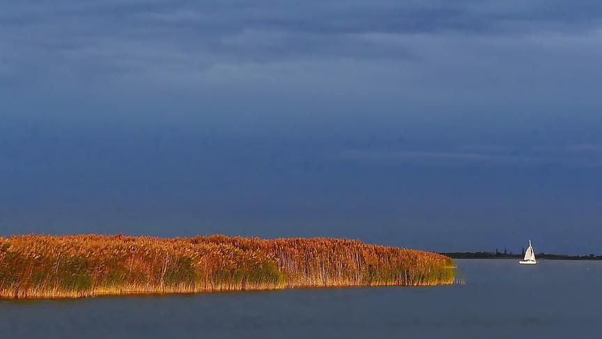 © Manfred Polansky In Gold und Blau lässt die späte Herbstsonne die Ruster Bucht des Neusiedlersees erstrahlen. (Manfred Polansky)