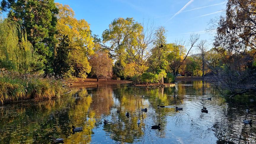 © Gustav Macek Herbstlicher Stadtpark in Wien (Gustav Macek)