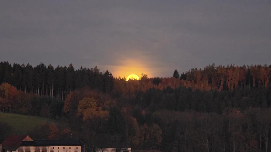 © Matthias Meingaßner Supermond Untergang (Matthias Meingaßner)