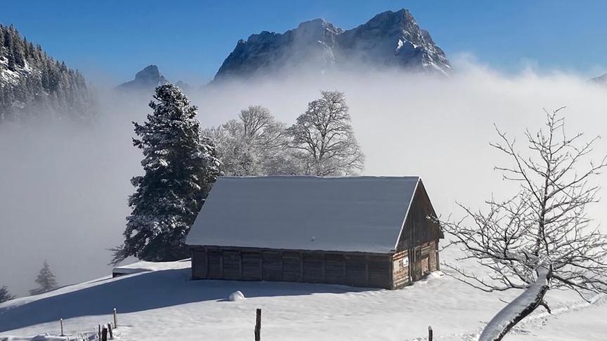 © Alfred Stadlauer Grabneralm. (Alfred Stadlauer)