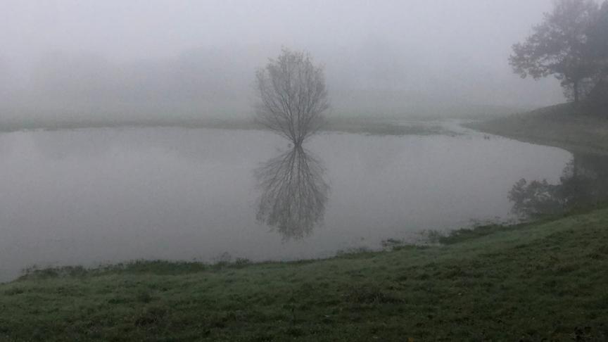© Heidi Guggenberger Trübe ,ruhige Morgenstimmung der Jahreszeit entsprechend. Angelegter Stauteich, in dem sich alles spiegelt. (Heidi Guggenberger)