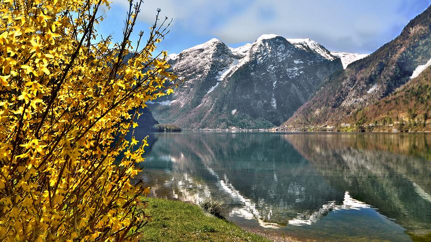 © Peter Grill Frühling am Hallstättersee. (Peter Grill)