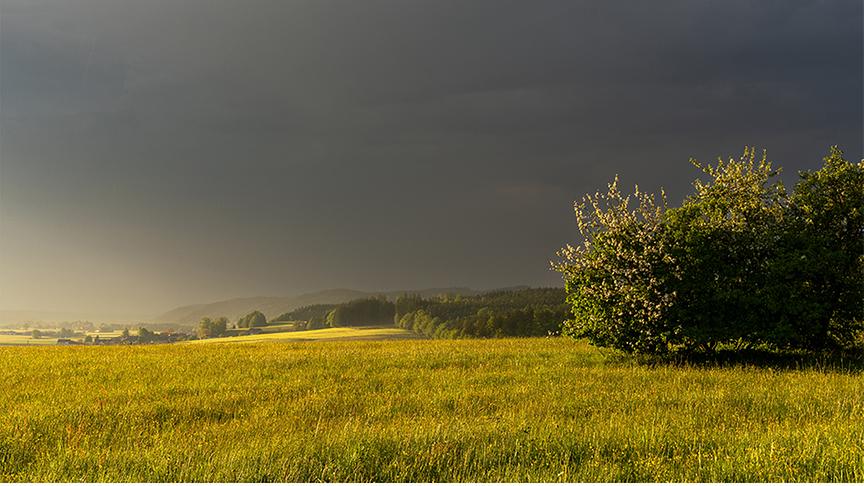 Düstere Stimmung am Himmel über einer Wiese, während von links die Sonnen strahlt.