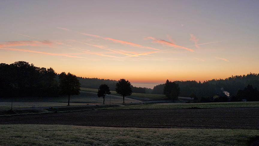 © Maria Frühwirth Sonnenaufgang bei leichtem Frost im nördlichsten Waldviertel (Maria Frühwirth)