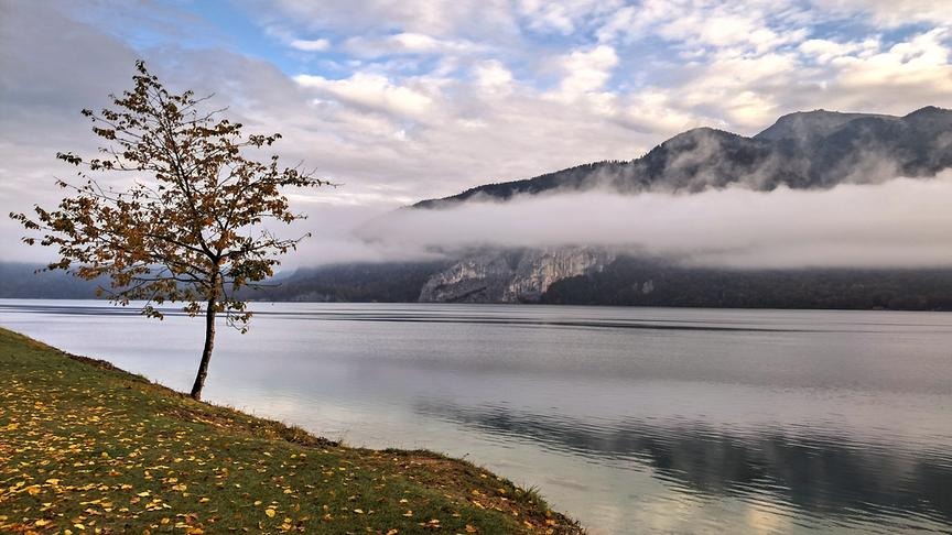 © Emma Sommeregger Herbstliche Morgenstimmung am Wolfgangsee (Emma Sommeregger)