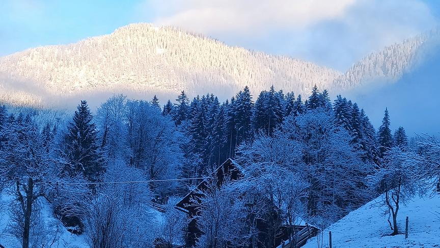 © Christine Hubner Endlich Schnee in Gosau. (Christine Hubner)