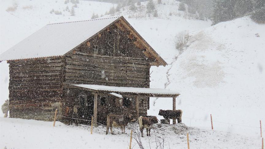 © Hans ter Braak Schneefall in Vorarlberg (Kleinwalsertal) auf 1250m. (Hans ter Braak)