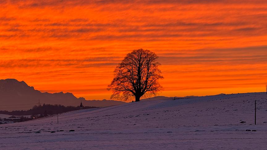 Leuchtendes Abendrot über Bergpanorama und verschneitem Hügel mit stattlichem Baum im Zentrum